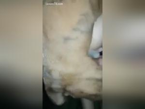 A bestial and intense encounter with a CASAL Brasileiro