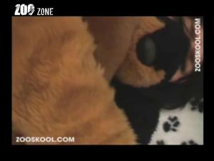 Bestiality Sex Videos: Discover Sex Scenes with Dogs and Animals