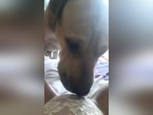 Dog sex video: teenage girl and her four-legged companion