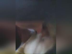 Bestialidad con un perro: una adolescente realiza actos sexuales extremos al aire libre