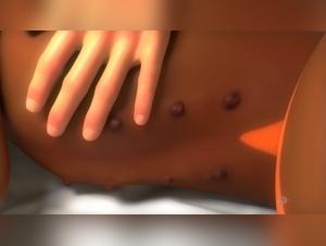 Dog entertainment: discover sex with a new dog