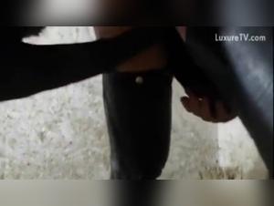 Bestiality Sex Video with a Dog