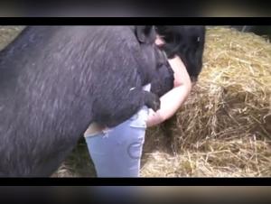 Bestial Encounters: Women and Animals