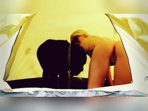 Exploring Quadruped Training: Boundaries & Practices