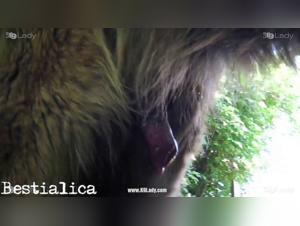 Sex videos with animals: dogs and wild boars