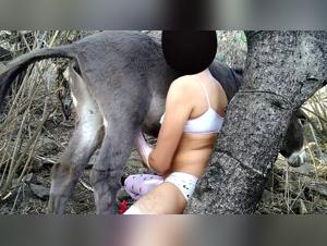 Extreme Bestiality: Boy and Horse