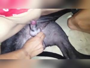 Sexy woman and her dog: a shocking bestiality video