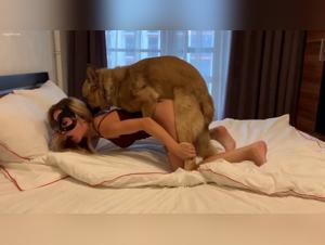 Zoosex Unveiled: Where Desire Meets the Wild