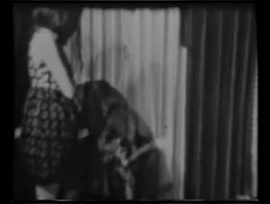 Mujer y perro: una relacion unica en los anos 60
