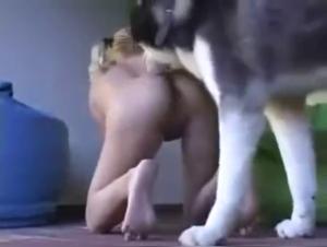 A bestial relationship between a woman and her dog