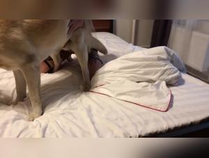 Blowjob Cat: Sonya Tebangs Her Little Kitty in a Freaky Fuck