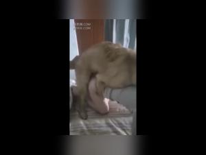 Woman and her dog: a beastly experience