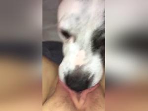 Dog hungry for female pleasure