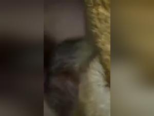 Double Canine Penetration and Cumshot - Bestiality Sex Video