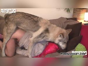 A forbidden love story: Woman and dog