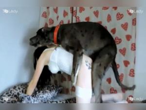 A Woman at Home Submissive to a Black Dog in an Extreme Bestiality Scene