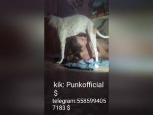 New sex videos with dogs