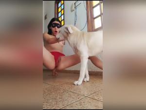 Bestiality porno : blonde sucks dog