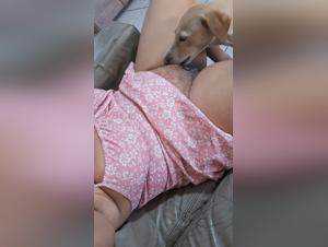 Unveiling Canine Intimacy