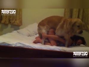 Encuentro Sensual: Mujer y Caballo