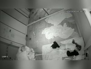 Unveiling the K9 Secrets