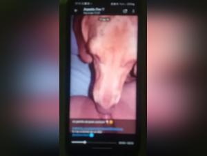 jasmine and dogxxx: unraveling a disturbing connection