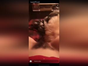 Tickzoo.tv: The Funniest Animal Sex Tube with a Dog at 100%