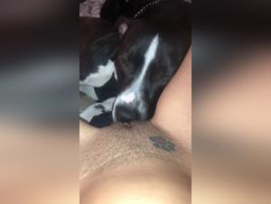 Mature women and dogs: hardcore bestiality videos