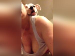 Sex video with a dog: a beastly and exciting experience