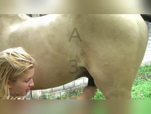 La mujer asiatica que se cumba con el caballo, una muy pornography de perro very erotic