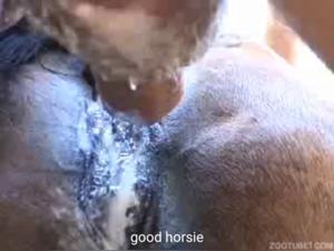 Momenti intimi: raccolta di bestialita