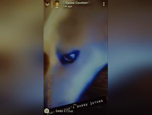 Zoofilia Tabu : La Condesa Perro y boca de perro