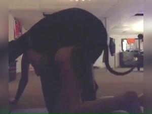 Bestialité dans la cave : une histoire de sexe extrême