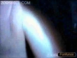 Sex with Dogs Video - Discover Bestiality