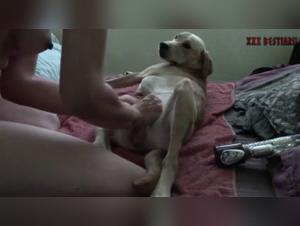 Bestial Encounters: French Women and Dogs