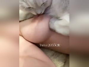 Bestiality sex video with a cat