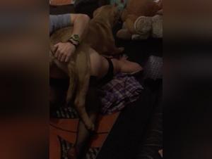 Bestiality: a woman and her dog in a shocking video