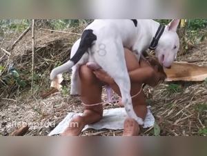 Alison's Dog Play Bisexuality