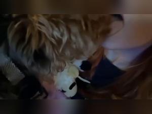 Zoosex: A Hot Girl Sucks Her Pet Canine in a Sizzling Video