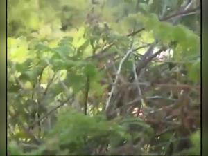 Marathon of Heat: An Unforgettable Experience