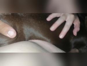 artofzoo porno animal