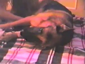 Forbidden Encounter: Woman and Dog Shepard