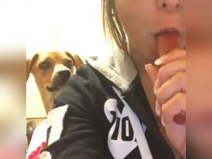 Woman daring the unimaginable with a dog