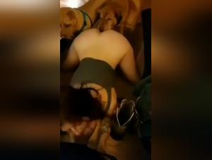 Bestiality and Zoophilia: A Sexual Encounter with a Dog