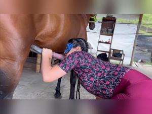 forbidden desires unleashed