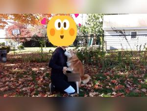 Mujeres suculentas que tienen sexo con perros y gatos