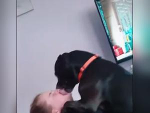 exploring the taboo: tiersex & legality