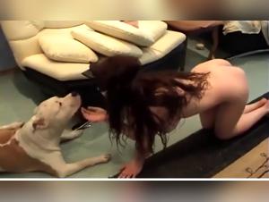 zoo bestiality and dog