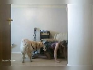 Intimate Encounter: Young Girl and Her Labrador