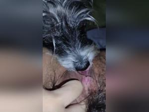 An Intimate Moment: Dog and Woman